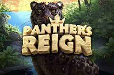 Panther’s Reign