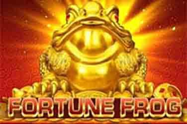 Fortune Frog