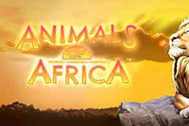 Animals of Africa