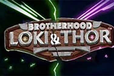 Brotherhood: Loki and Thor