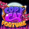 Copy Cat Fortune