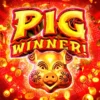 Pig Winner