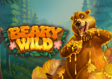 Beary Wild Online Slot Game Review