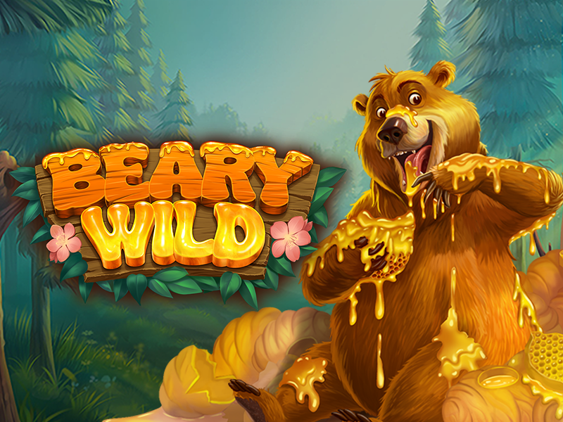 Beary Wild online slot game