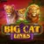 Big Cat Links Online Casino Game Review
