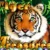 Tiger Treasures Online Casino Game Review