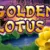 Golden Lotus Game Review