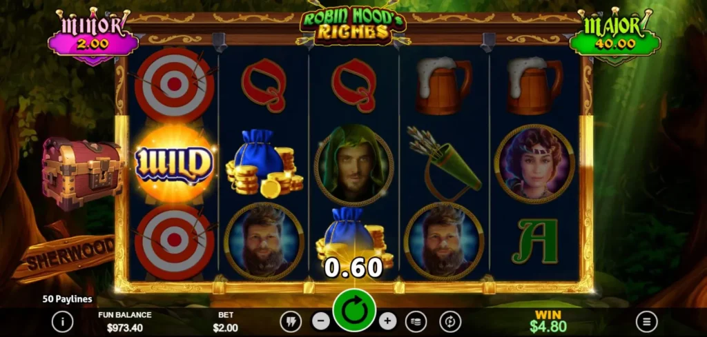 Robin Hood's Riches main features