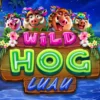 Wild Hog Luau Online Slot Game Review