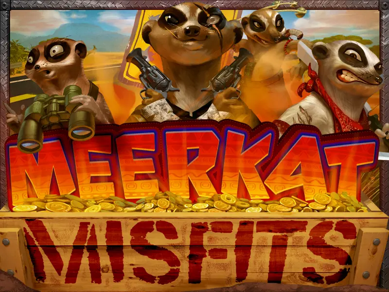 Meerkat Misfits featured image