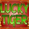 Lucky Tiger Slot Game