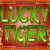 Lucky Tiger Slot Game