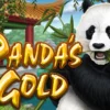 Panda’s Gold