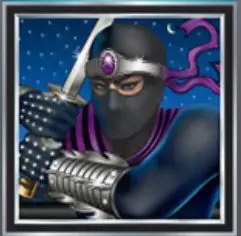 Ninja Star Wild Symbol