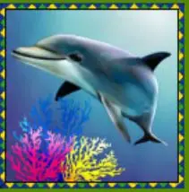 Crystal Waters Wild Symbol