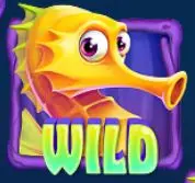 seahorse surge wild symbol