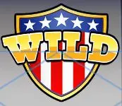 liberty rockets wild symbol