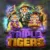 Triple Tigers
