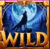 crimson castle wild symbol